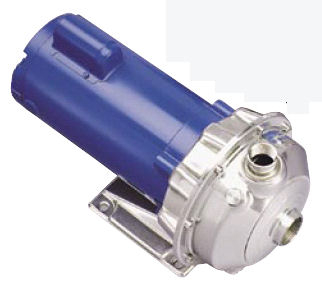 Goulds Pump 1ST1D5E4