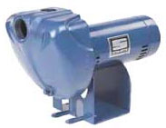 Sta Rite Pump DS3HE-01